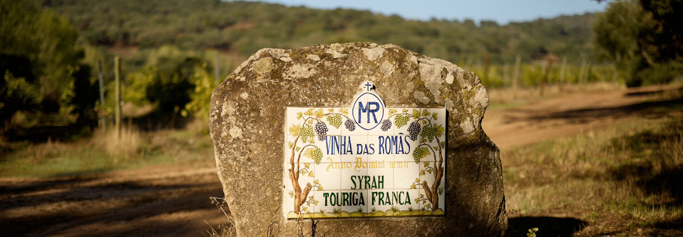 Ravasqueira Vinha das Romãs