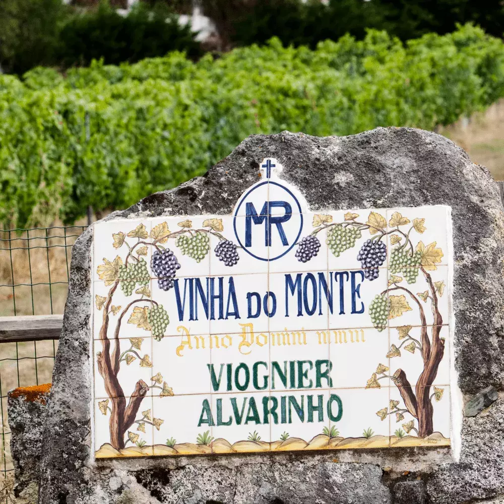 Vinha do Monte