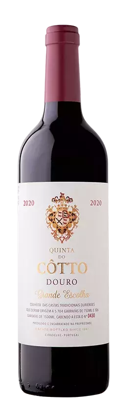 cotto-grande-escolha