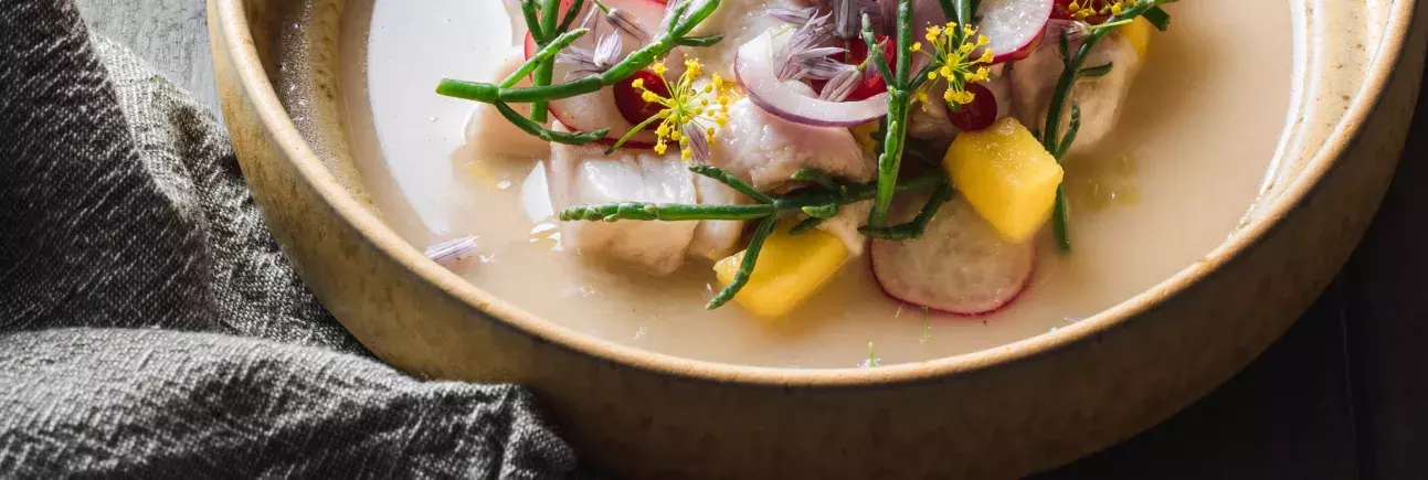 encantado-receita-ceviche