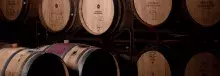 Our wines